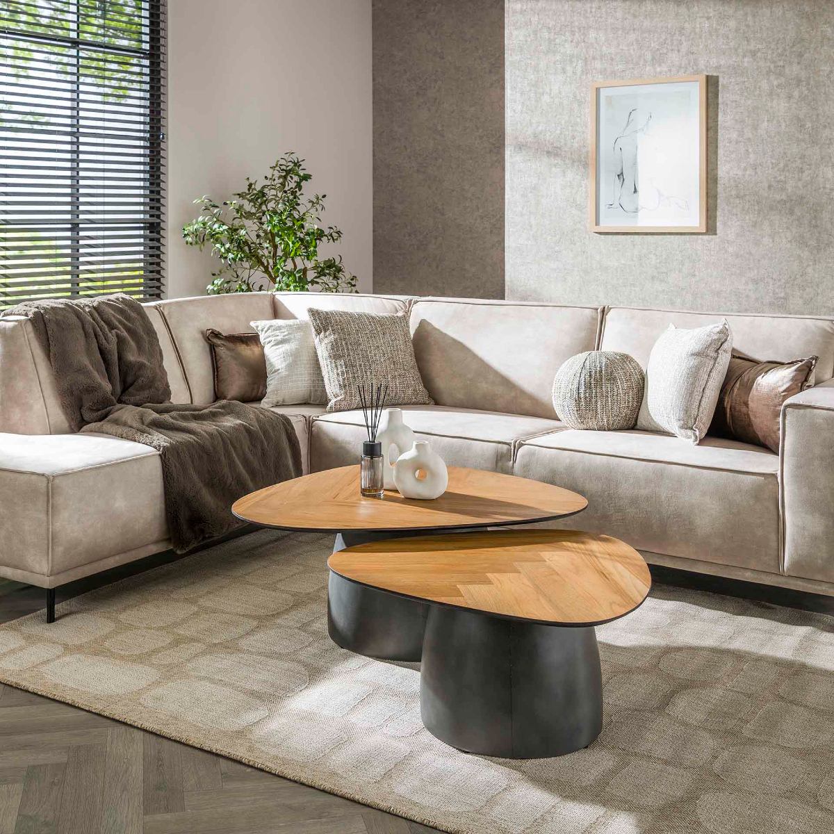 Table basse organique en bois et métal TIFANY (lot de 2)